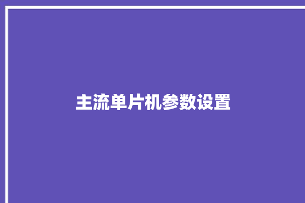 主流单片机参数设置