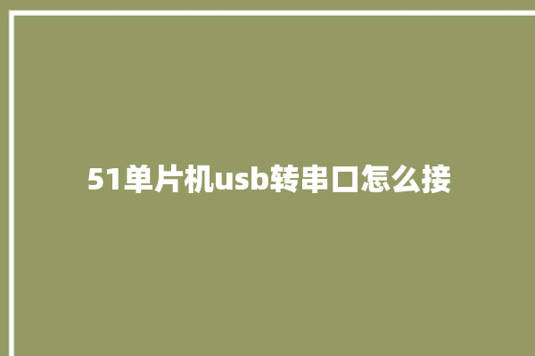 51单片机usb转串口怎么接