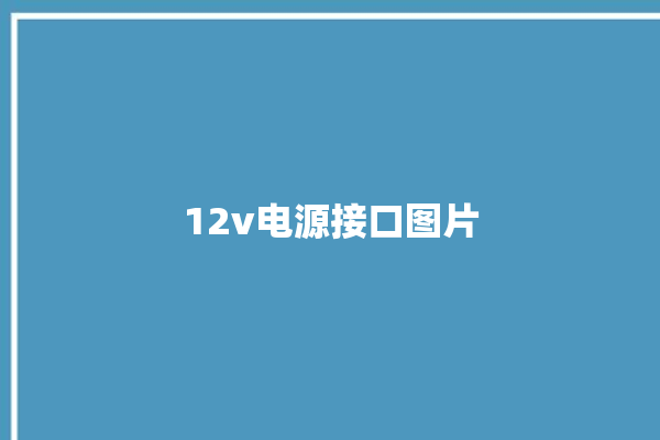 12v电源接口图片