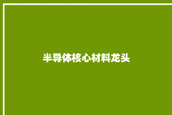 半导体核心材料龙头