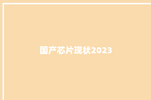 国产芯片现状2023