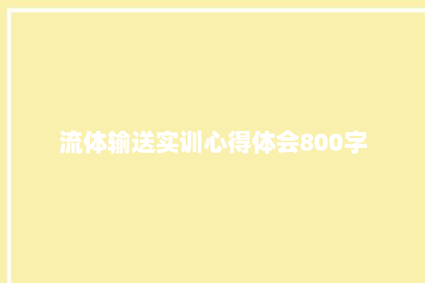 流体输送实训心得体会800字