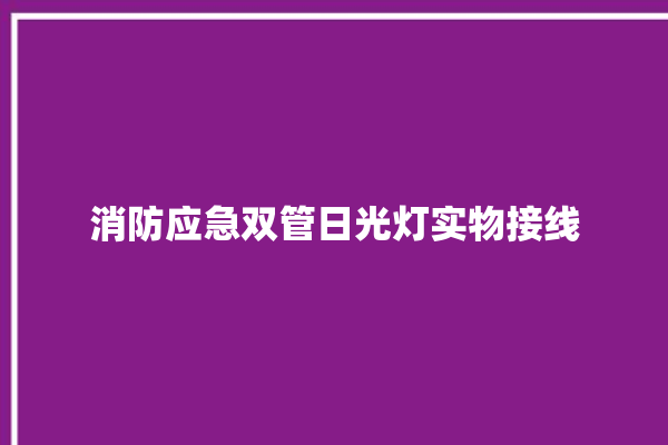 消防应急双管日光灯实物接线