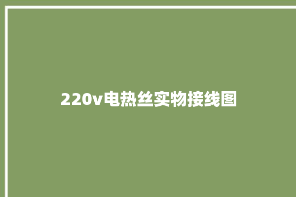 220v电热丝实物接线图