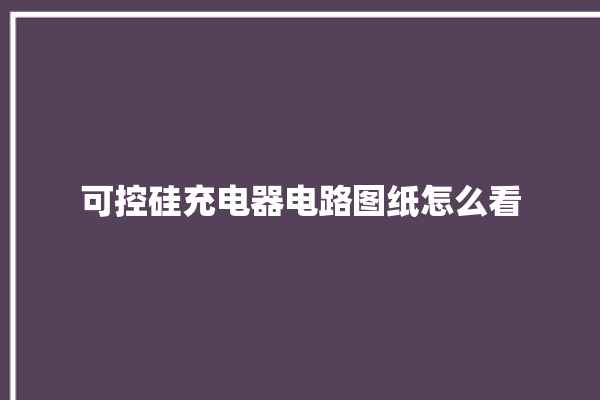 可控硅充电器电路图纸怎么看