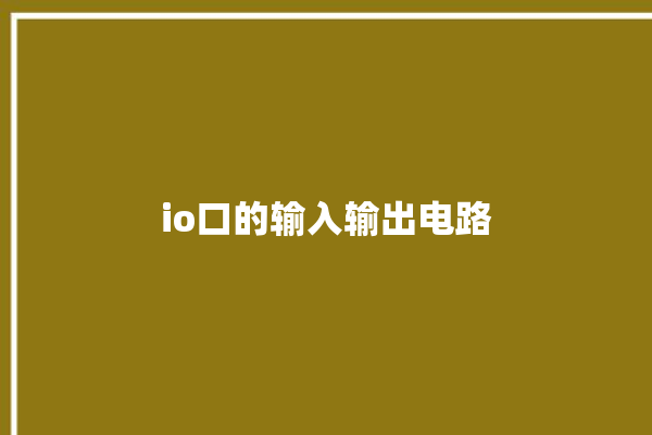 io口的输入输出电路