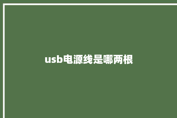 usb电源线是哪两根