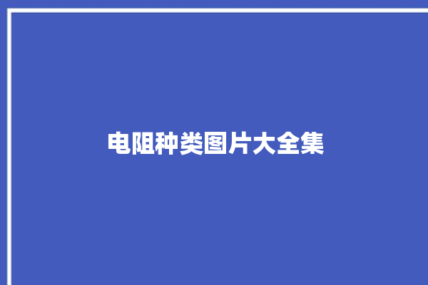 电阻种类图片大全集