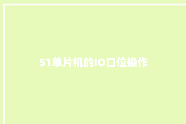 51单片机的IO口位操作