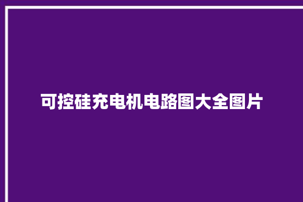 可控硅充电机电路图大全图片