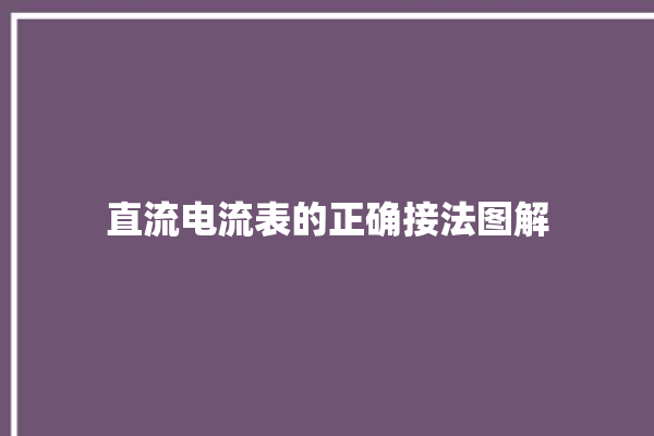 直流电流表的正确接法图解