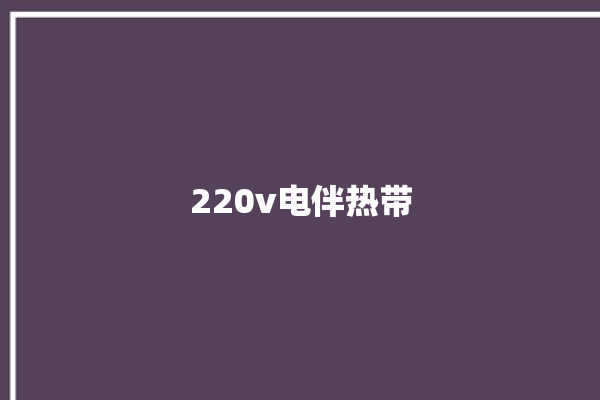 220v电伴热带