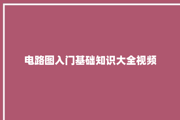 电路图入门基础知识大全视频