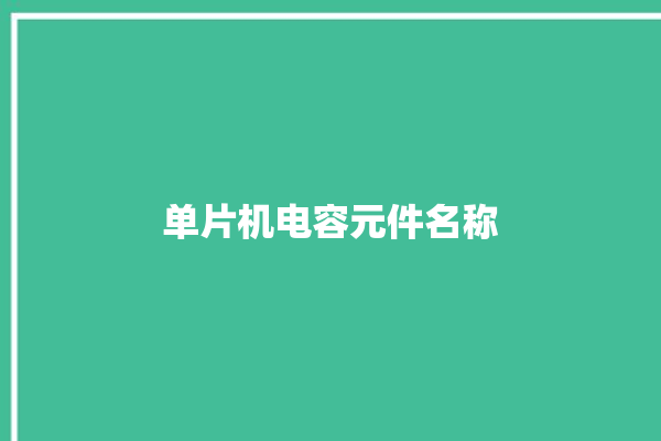 单片机电容元件名称