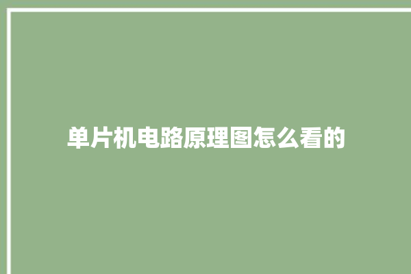 单片机电路原理图怎么看的