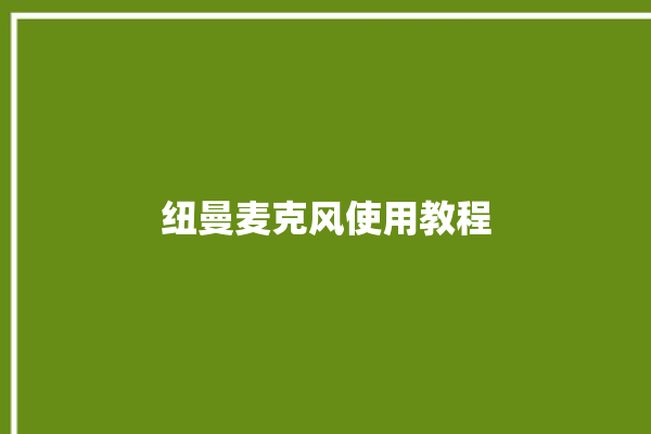 纽曼麦克风使用教程