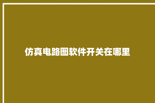 仿真电路图软件开关在哪里