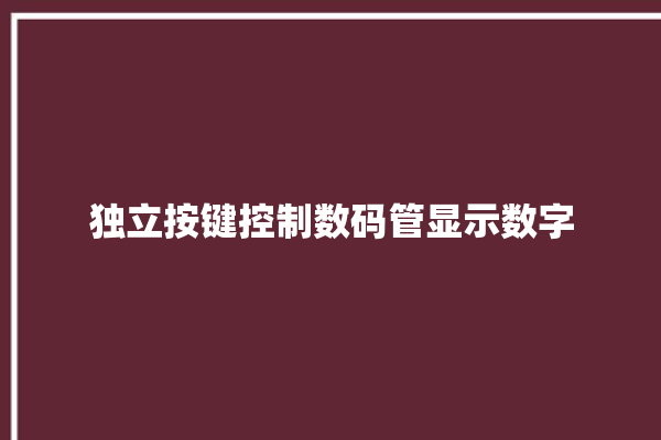 独立按键控制数码管显示数字