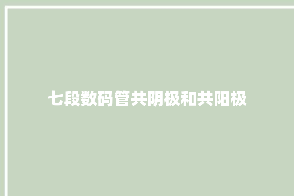 七段数码管共阴极和共阳极