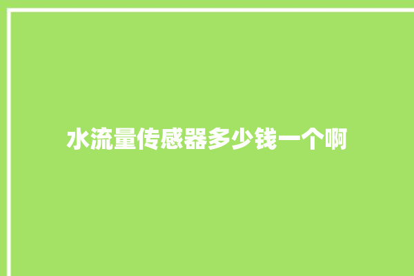 水流量传感器多少钱一个啊