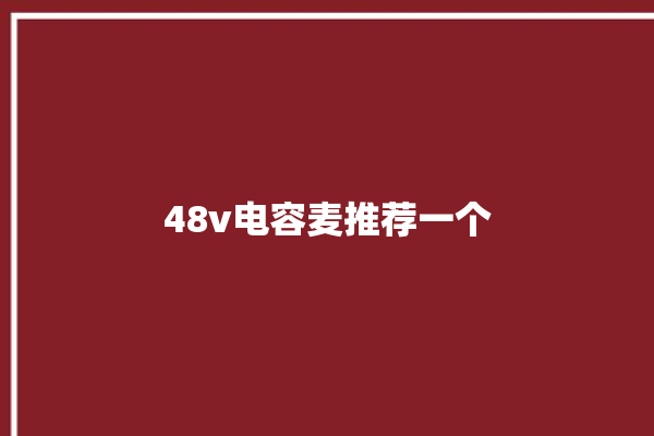 48v电容麦推荐一个