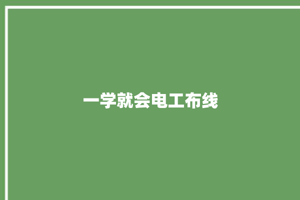 一学就会电工布线