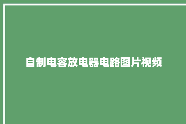 自制电容放电器电路图片视频