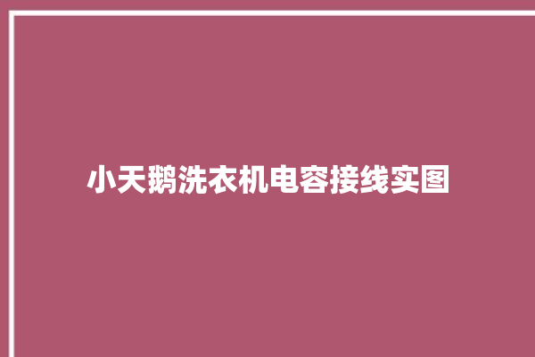 小天鹅洗衣机电容接线实图