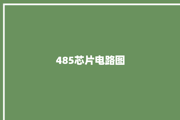 485芯片电路图