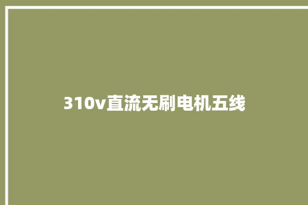 310v直流无刷电机五线