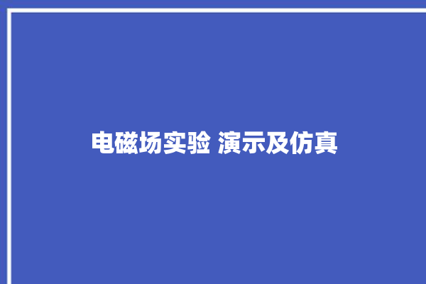 电磁场实验 演示及仿真