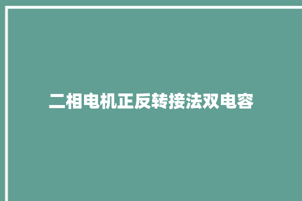 二相电机正反转接法双电容