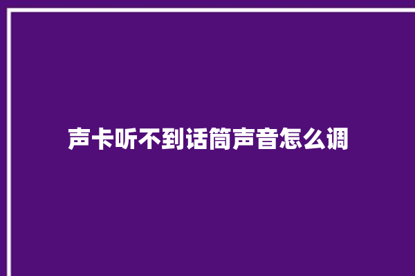 声卡听不到话筒声音怎么调