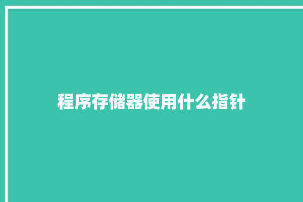 程序存储器使用什么指针