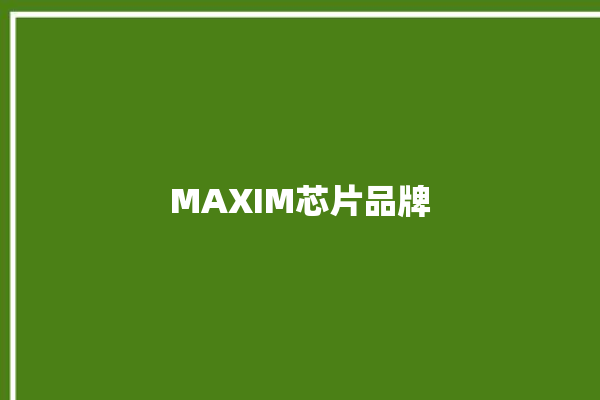 MAXIM芯片品牌