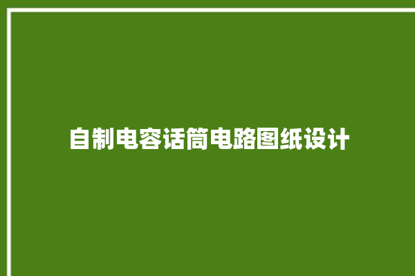 自制电容话筒电路图纸设计