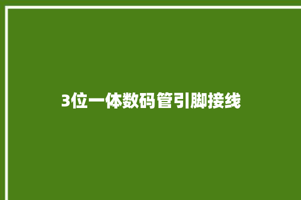 3位一体数码管引脚接线