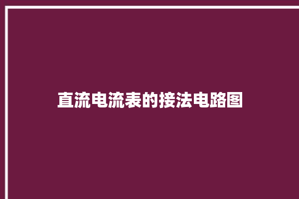 直流电流表的接法电路图