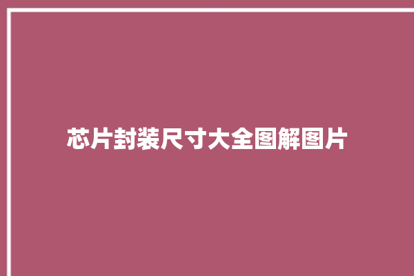 芯片封装尺寸大全图解图片