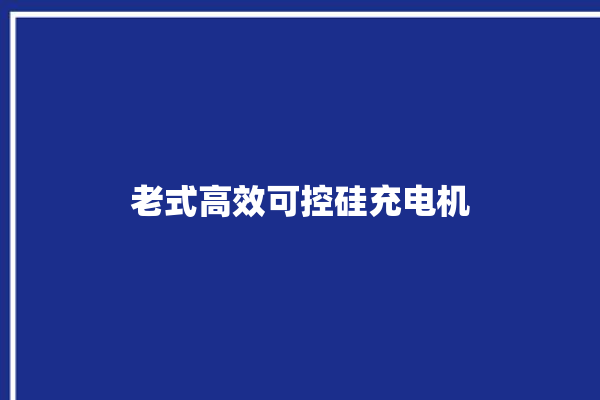 老式高效可控硅充电机