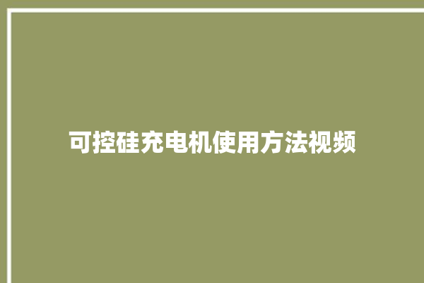 可控硅充电机使用方法视频