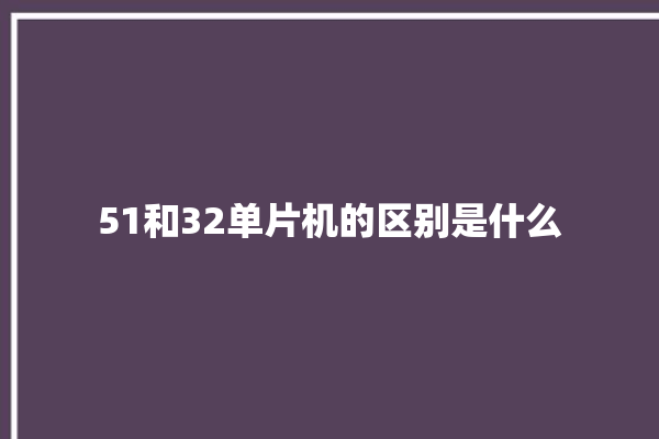 51和32单片机的区别是什么