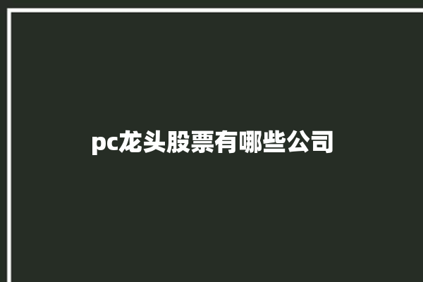 pc龙头股票有哪些公司