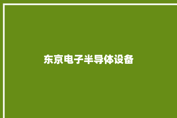 东京电子半导体设备