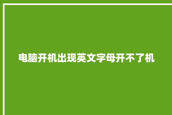 电脑开机出现英文字母开不了机