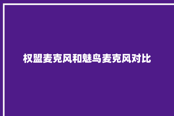 权盟麦克风和魅鸟麦克风对比