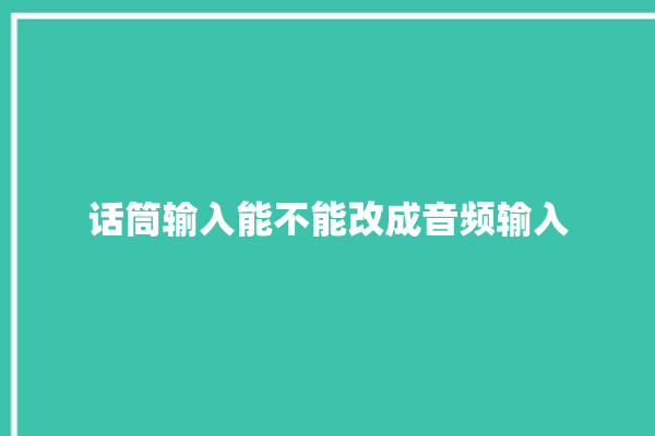 话筒输入能不能改成音频输入