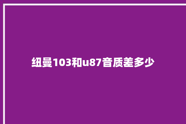 纽曼103和u87音质差多少