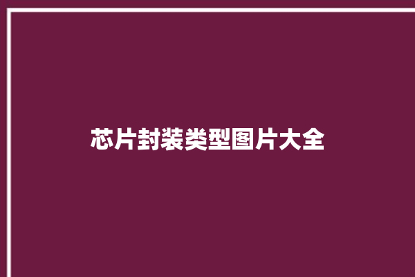 芯片封装类型图片大全