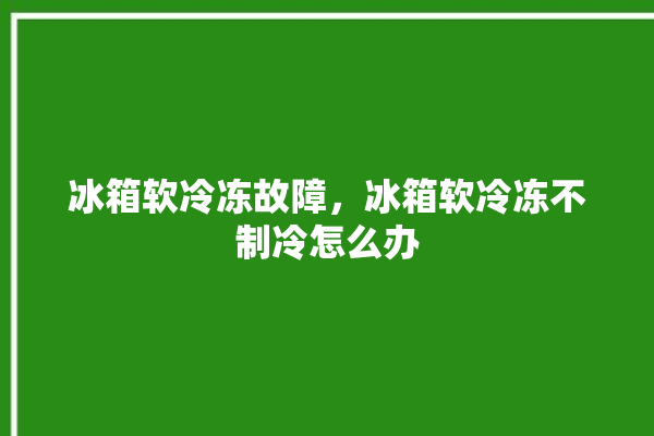 冰箱软冷冻故障，冰箱软冷冻不制冷怎么办